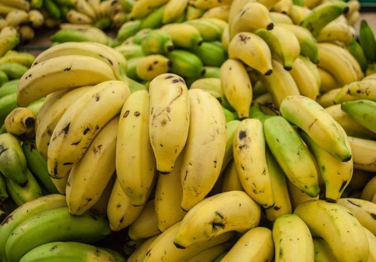 Do bananas actually prevent muscle cramps?