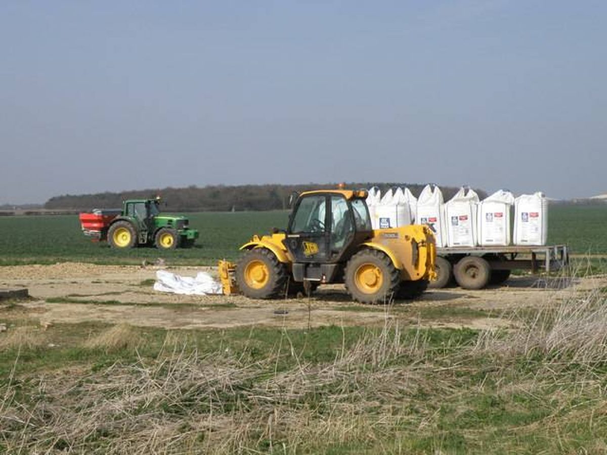 What Does NPK on Fertilizer Actually Mean: Nitrogen, Phosphorus, and Potassium
