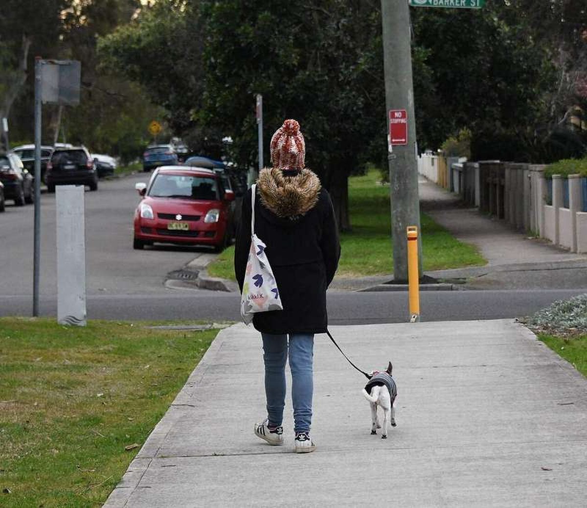 How to stop a dog from pulling on the leash: trainer methods