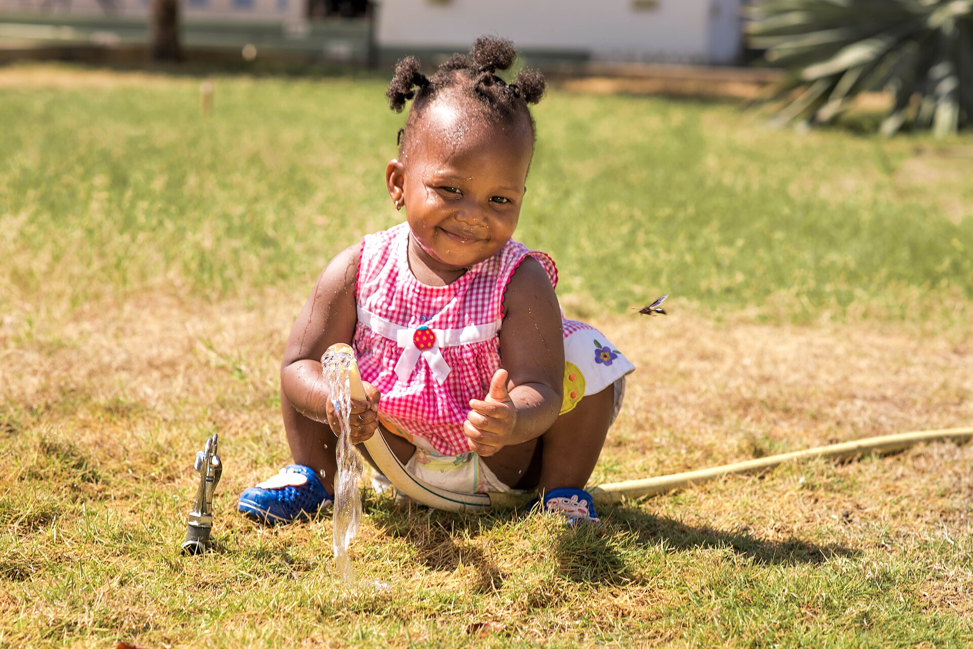 Why do kids ask why constantly? The developmental science behind it
