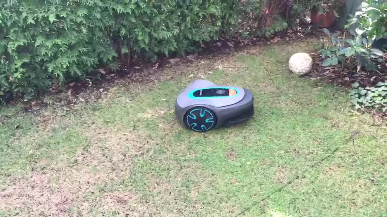 Why does my lawn have brown patches in summer? Causes and fixes