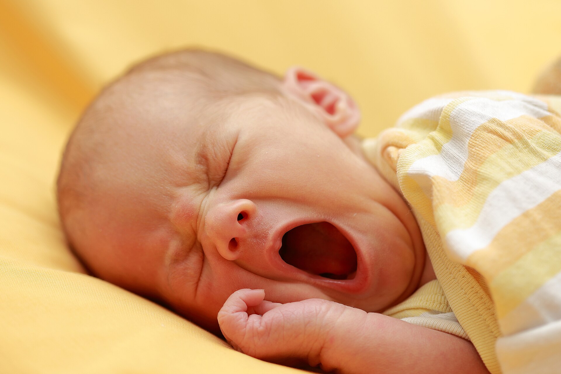 Why do babies put everything in their mouths?