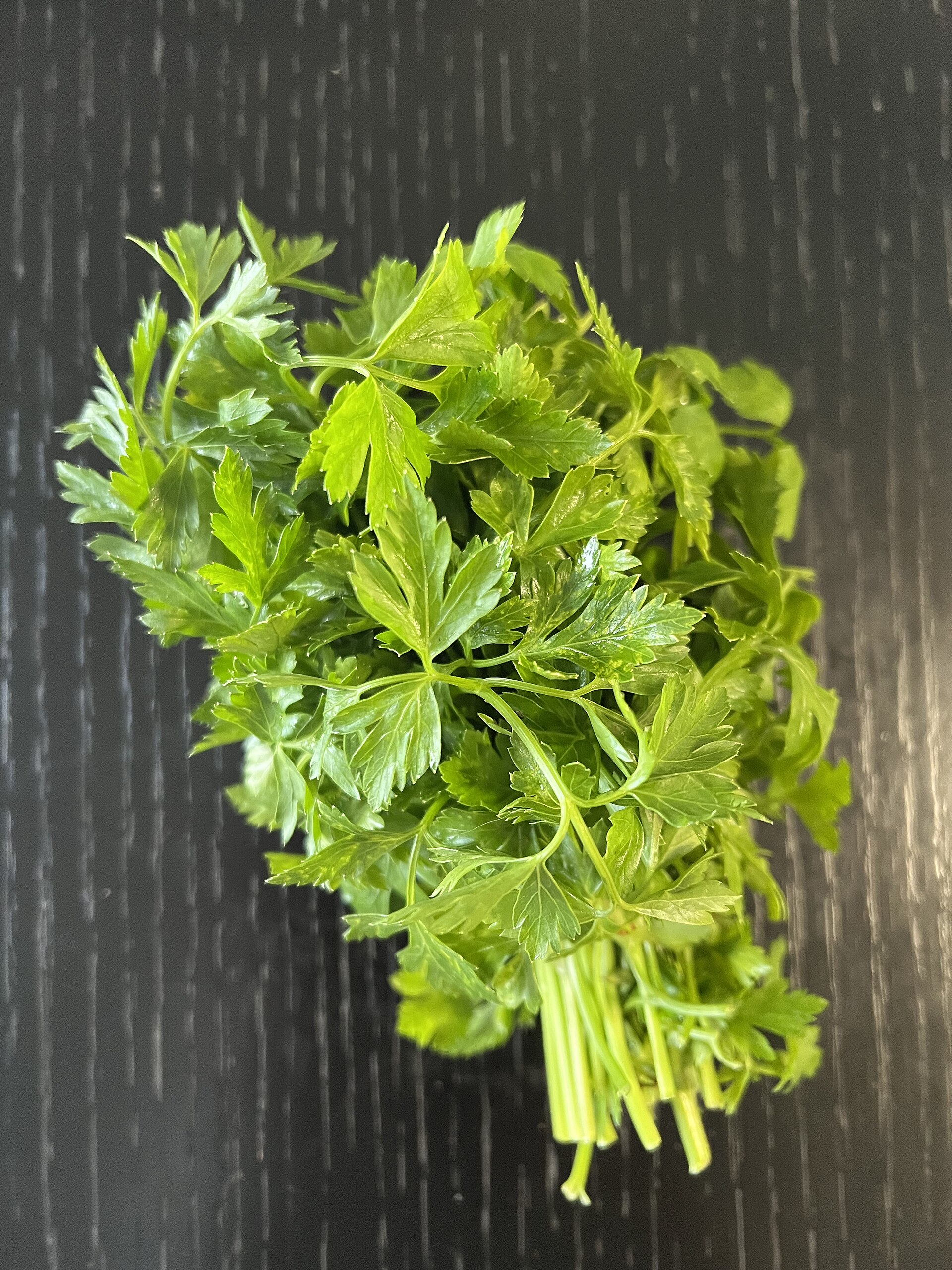 How to keep herbs fresh longer in the fridge
