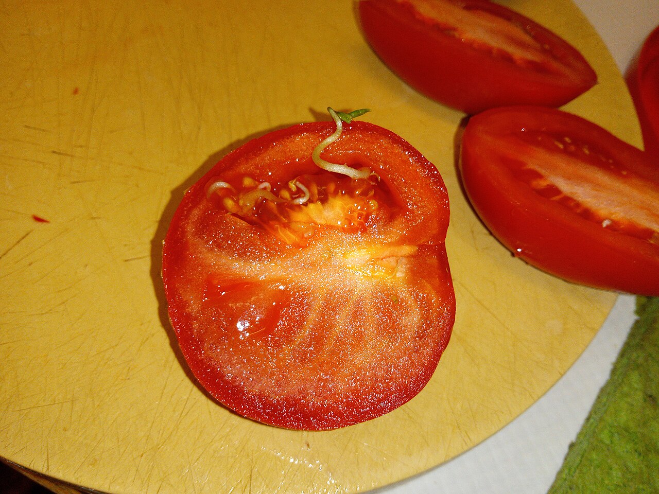 How to Save Tomato Seeds for Next Year: A 5-Step Guide