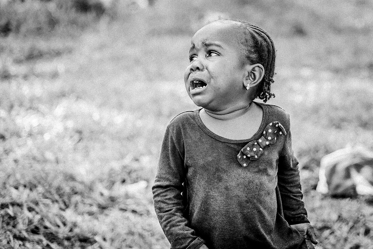 What Is the Difference Between a Tantrum and a Meltdown?