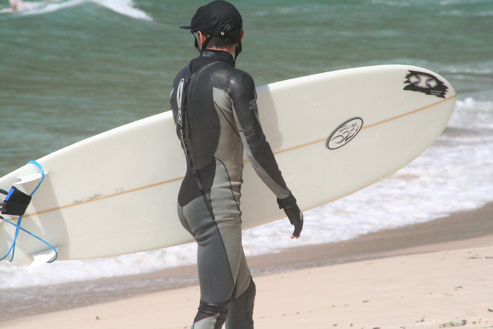 Why Do You Need a Wetsuit When the Water Feels Fine